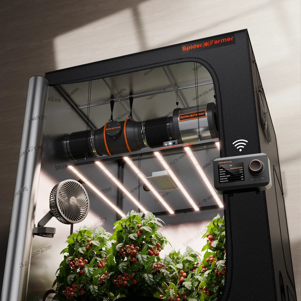 150x150cm Complete Kits