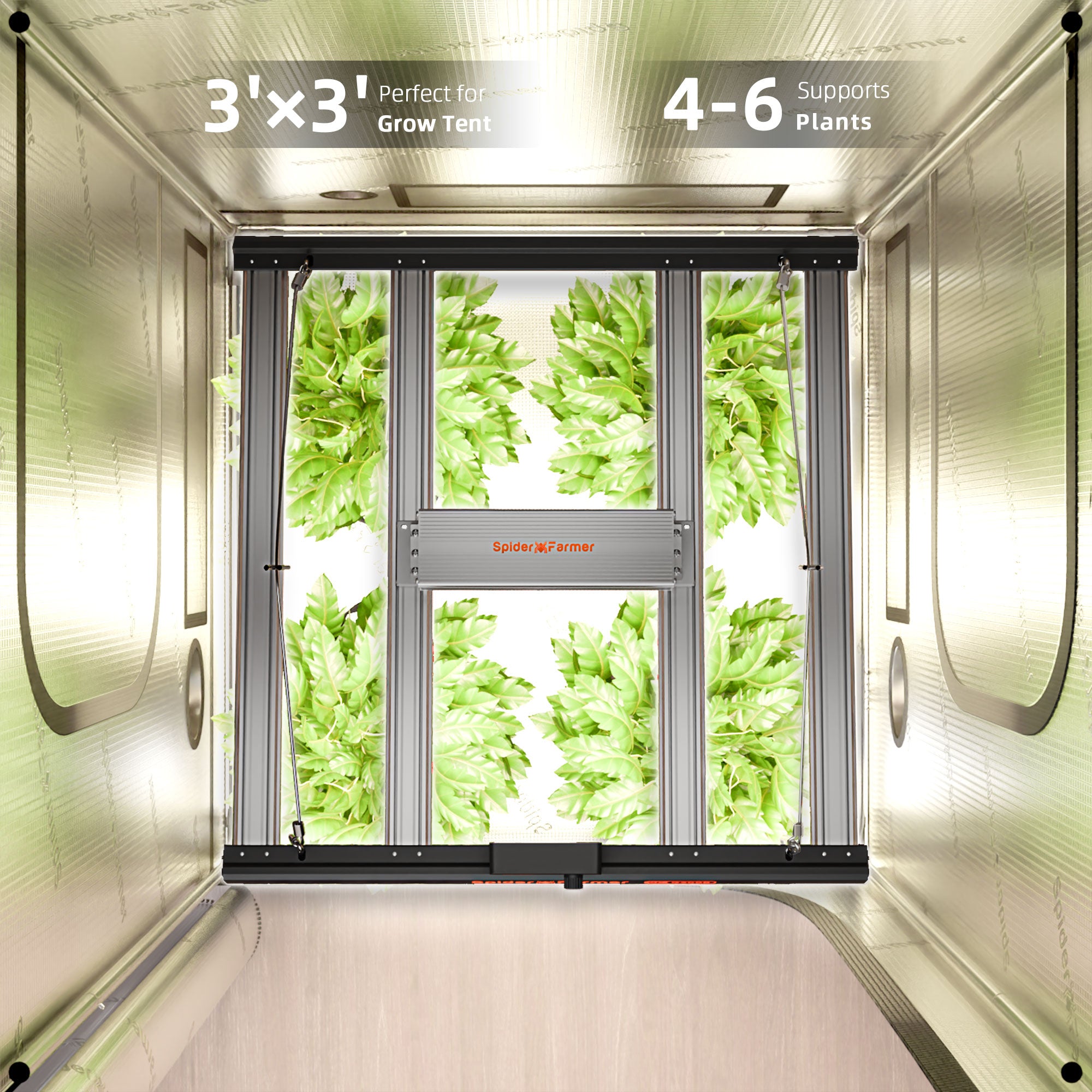2025 Spider Farmer® G3000 90x90x180cm Complete Grow Tent Kits – fastgrowstore