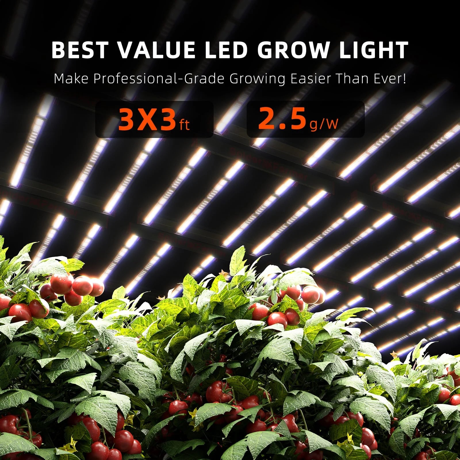 Grow 300w led deals