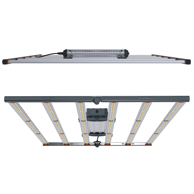 Fluence lights best sale for sale